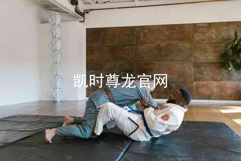 凯时尊龙官网